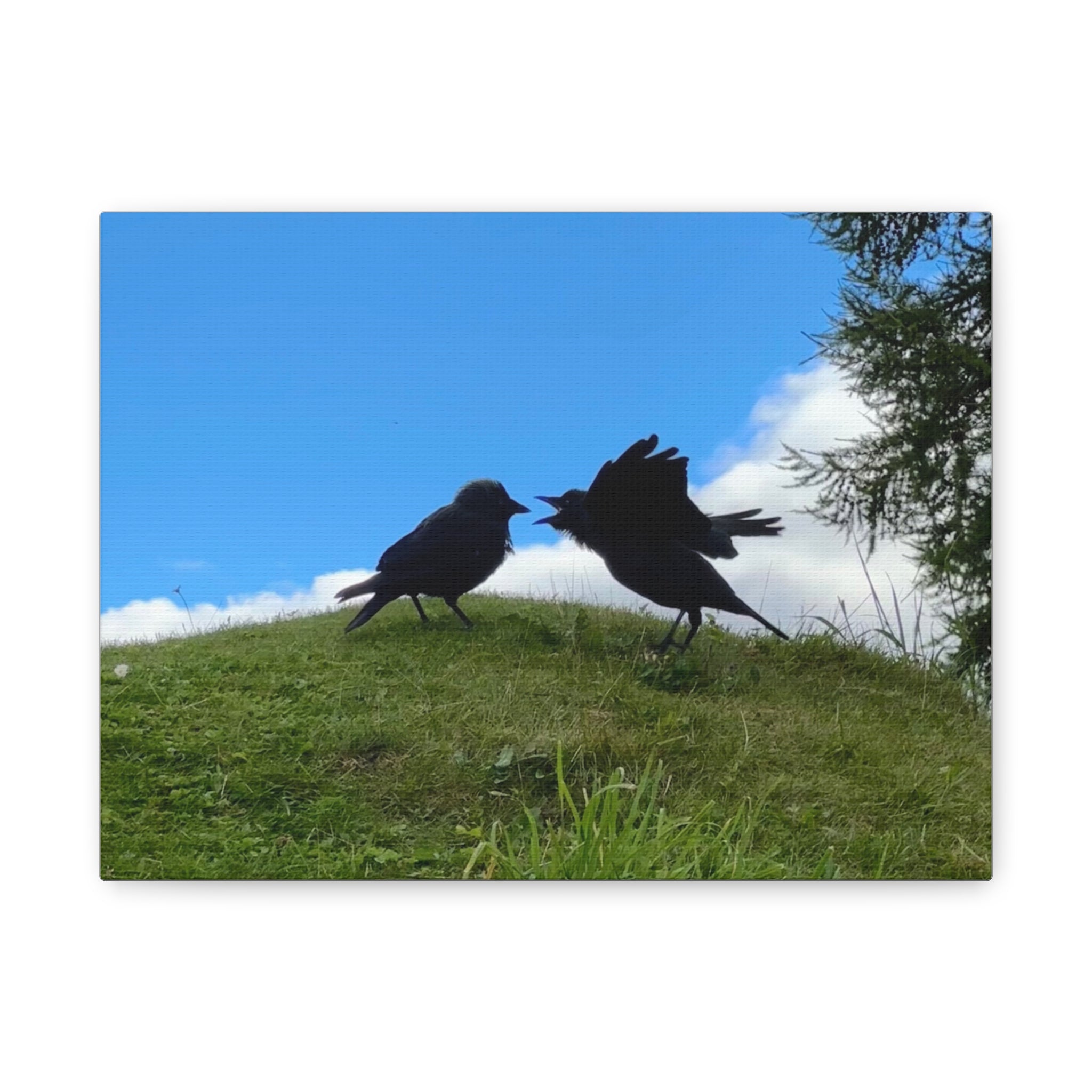 Bickering Birds Original Canvas Wall Art — Stretched 1.25"