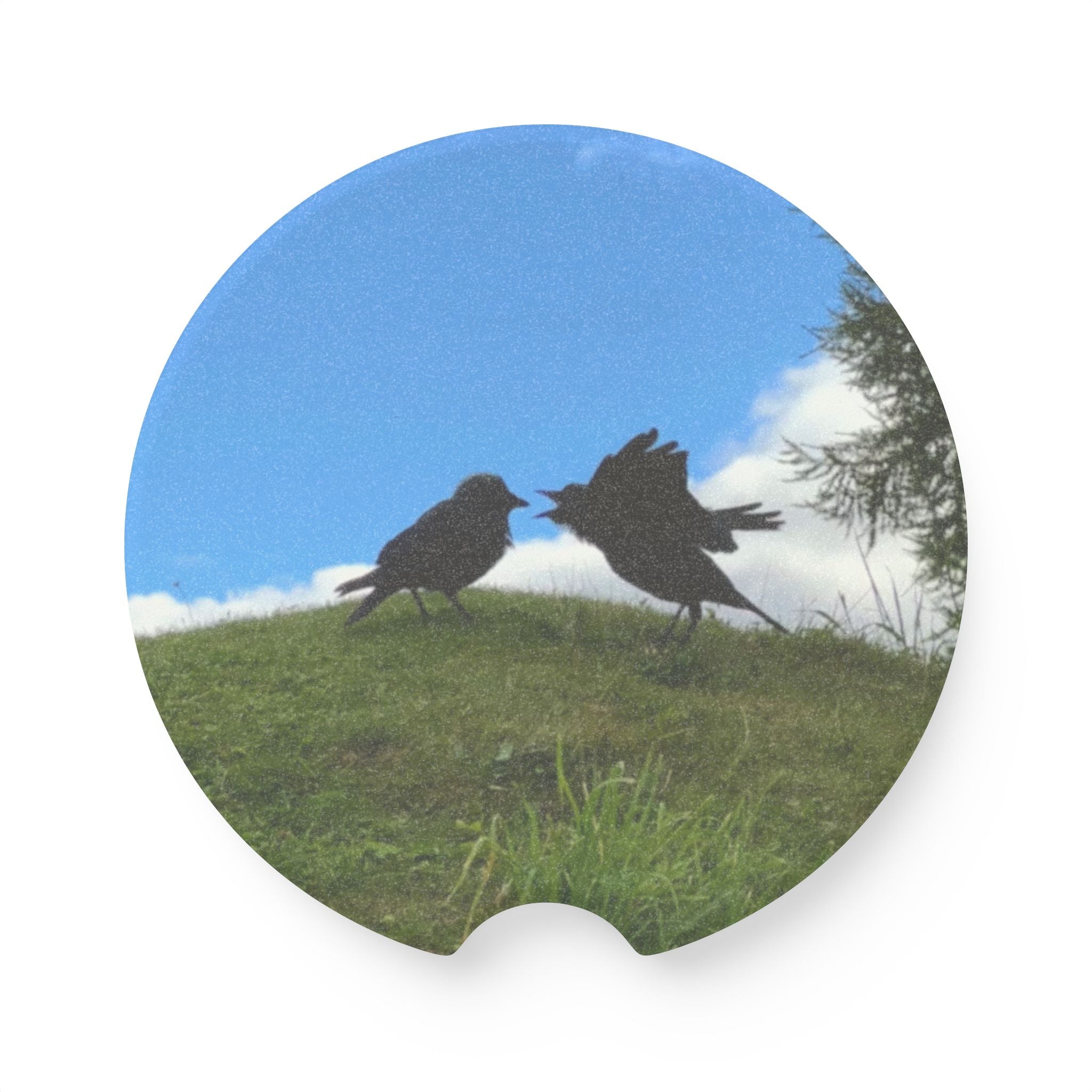 Soapstone Car Coaster — Bickering Birds