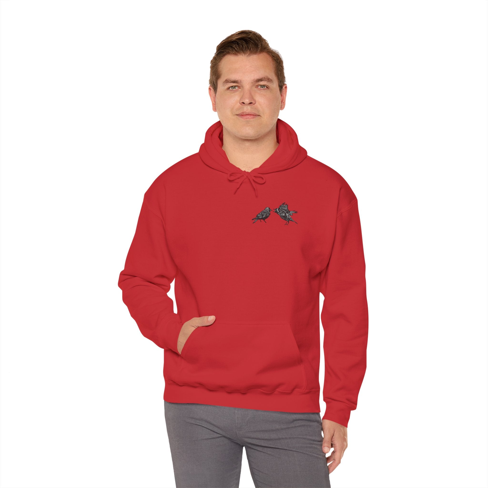 Bickering Birds Hoodie