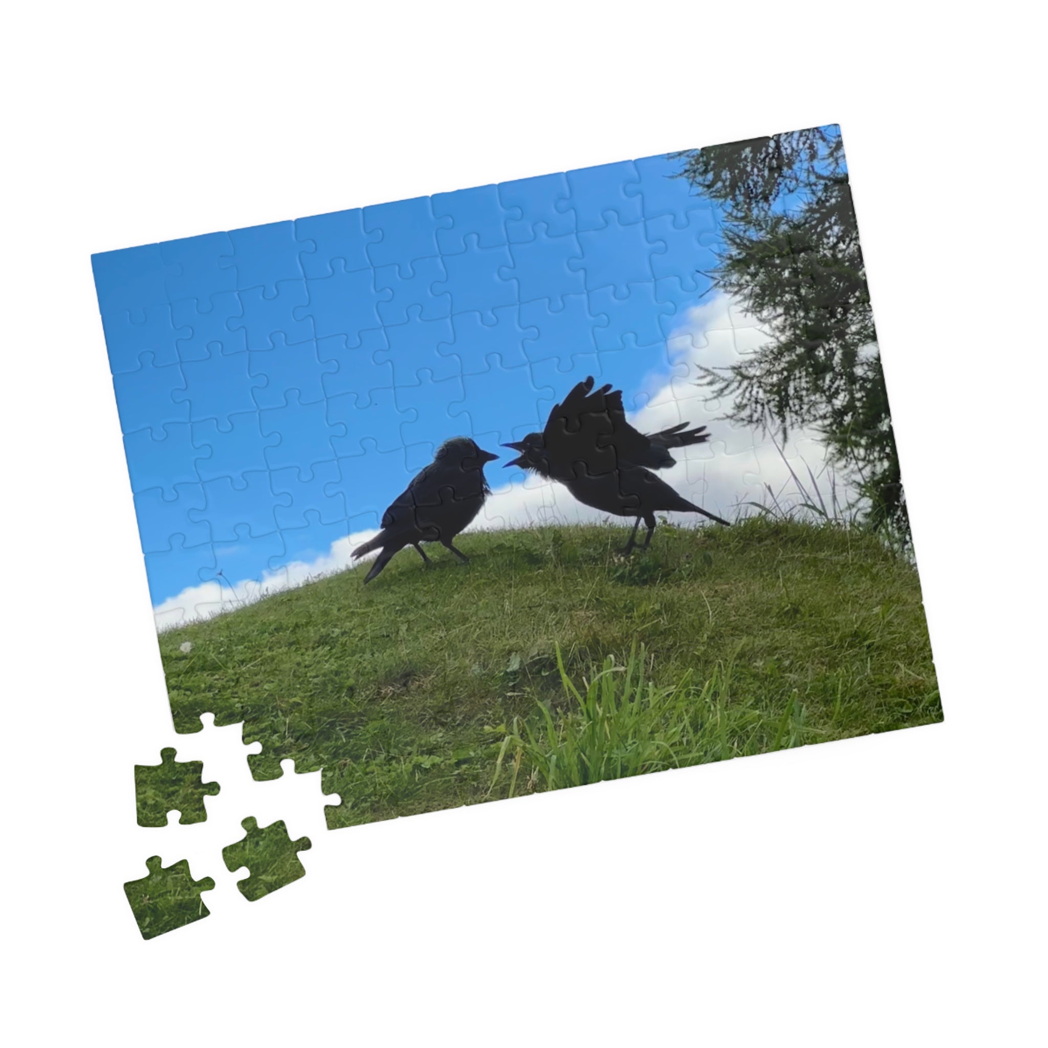 Bickering Birds Puzzle