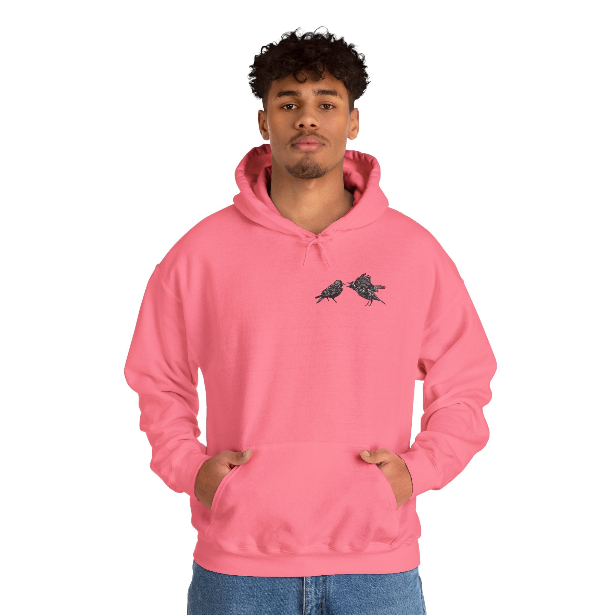 Bickering Birds Hoodie