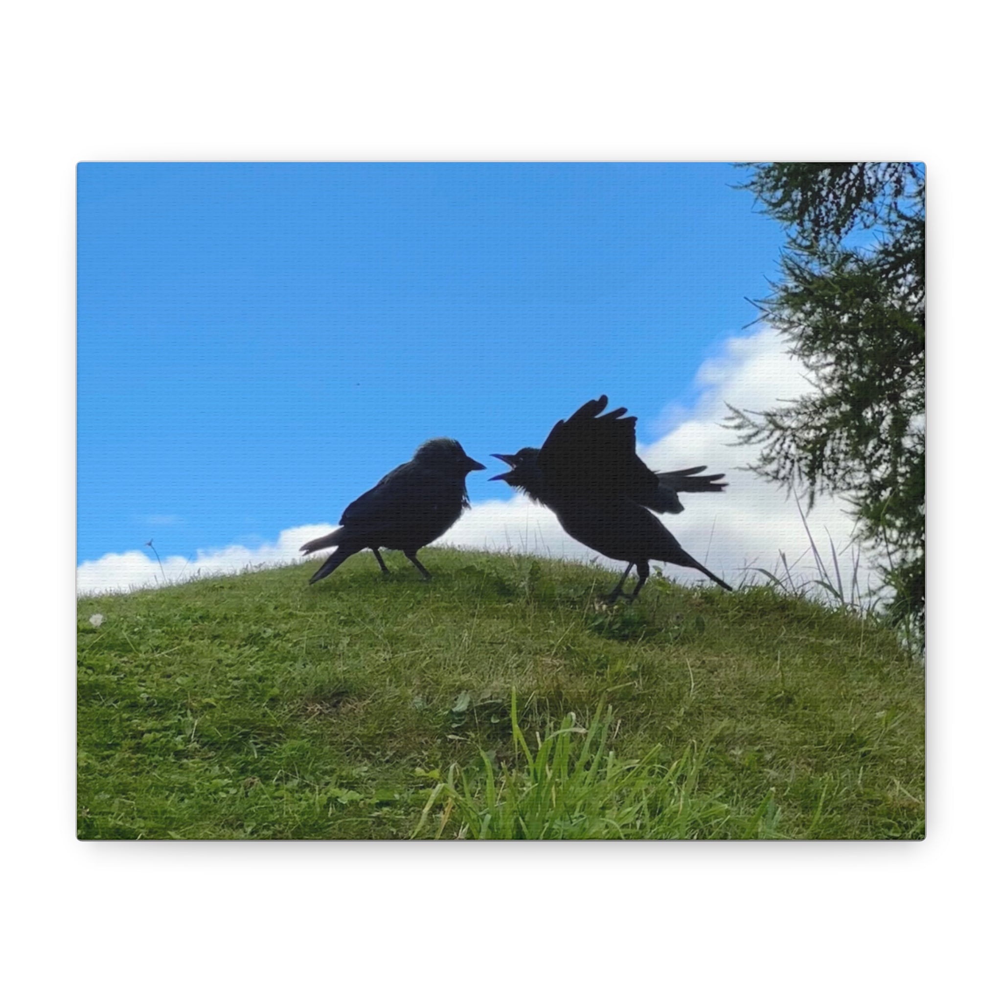 Bickering Birds Original Canvas Wall Art — Stretched 1.25"