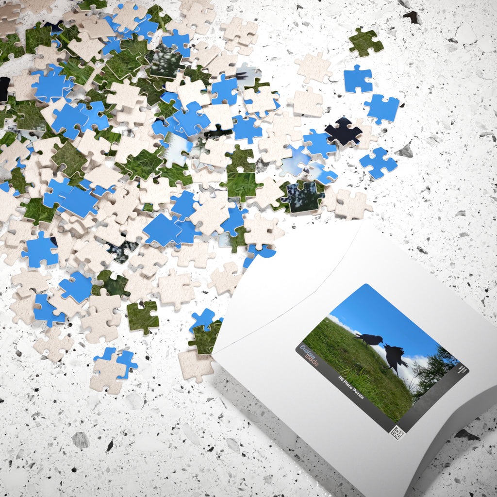 Bickering Birds Puzzle