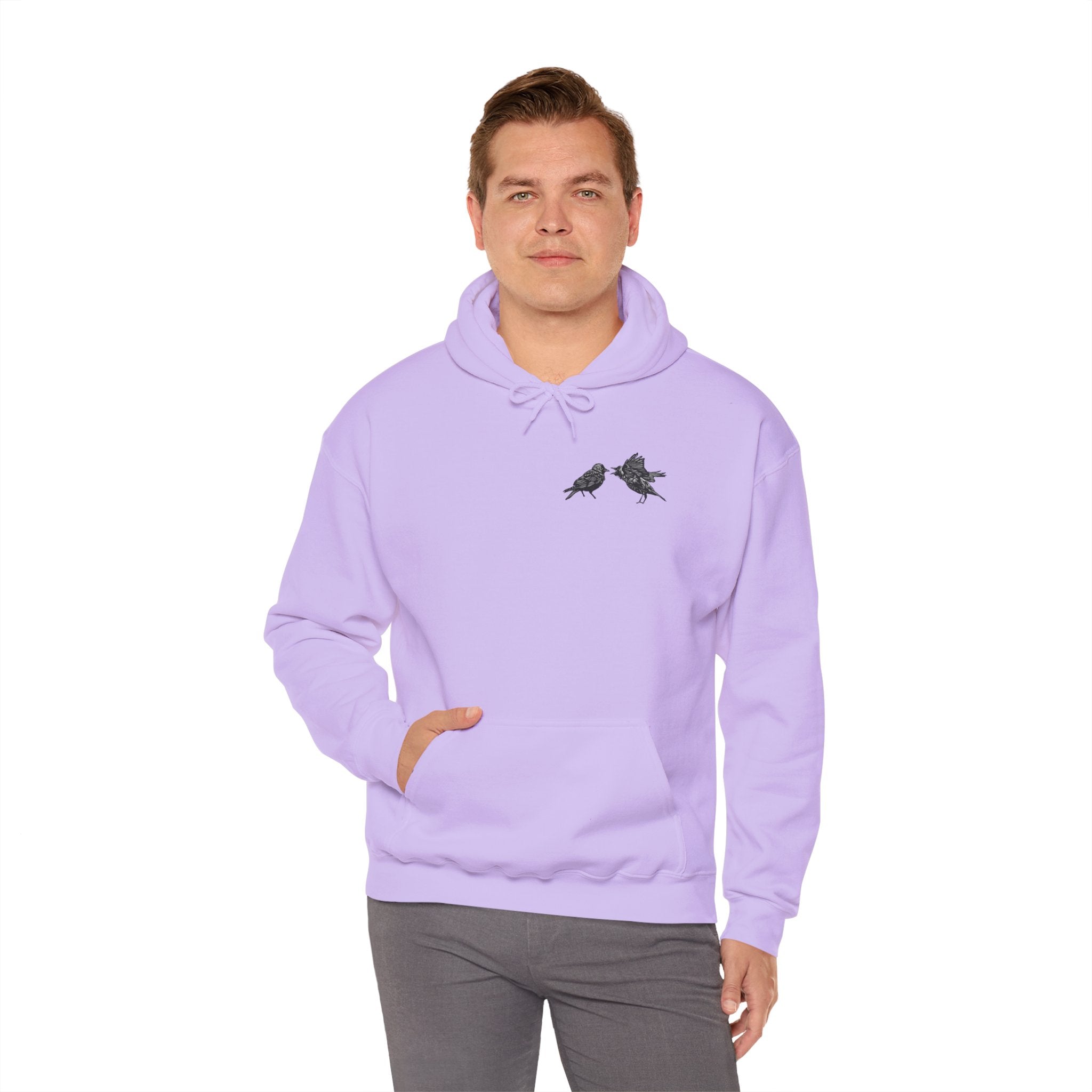 Bickering Birds Hoodie