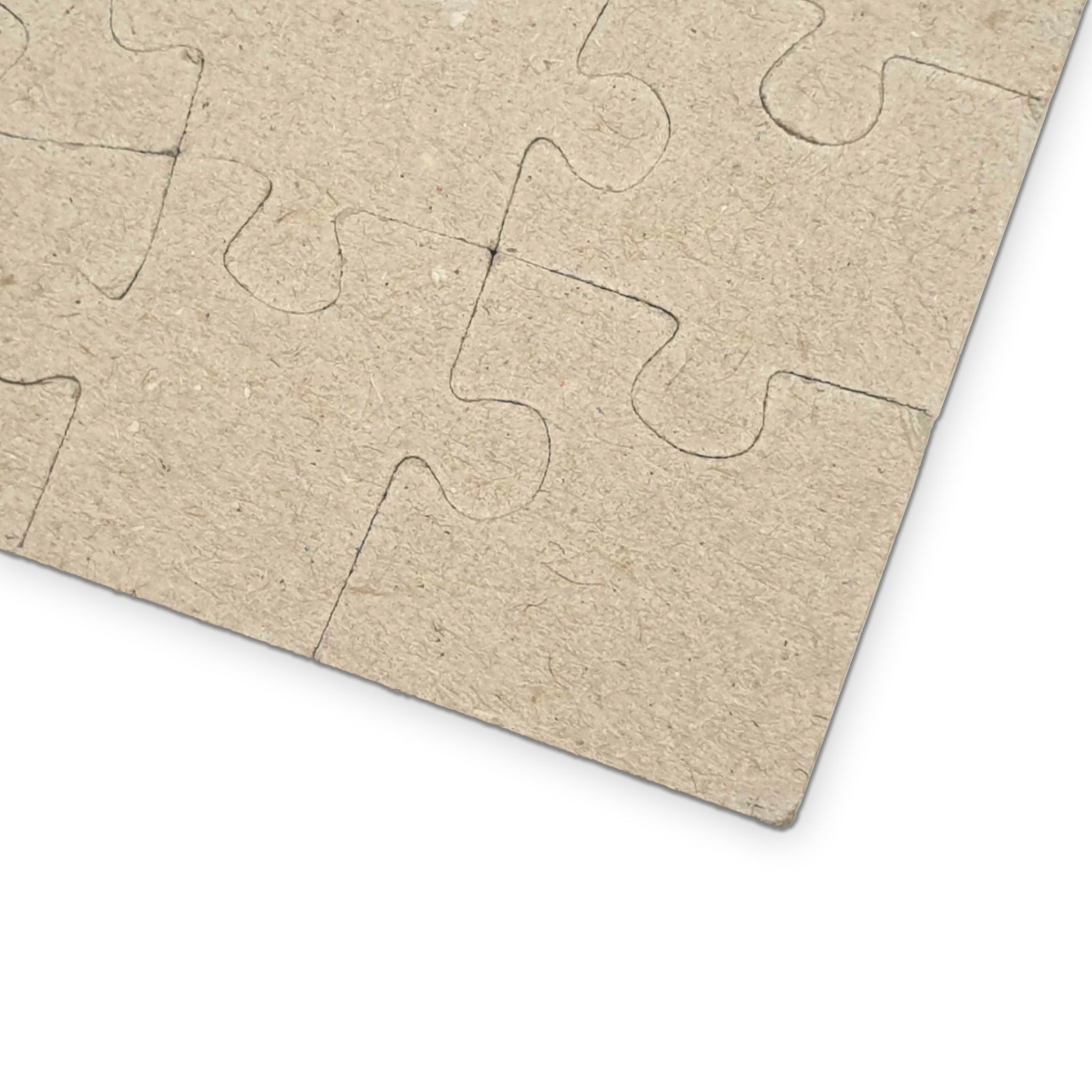 Bickering Birds Puzzle