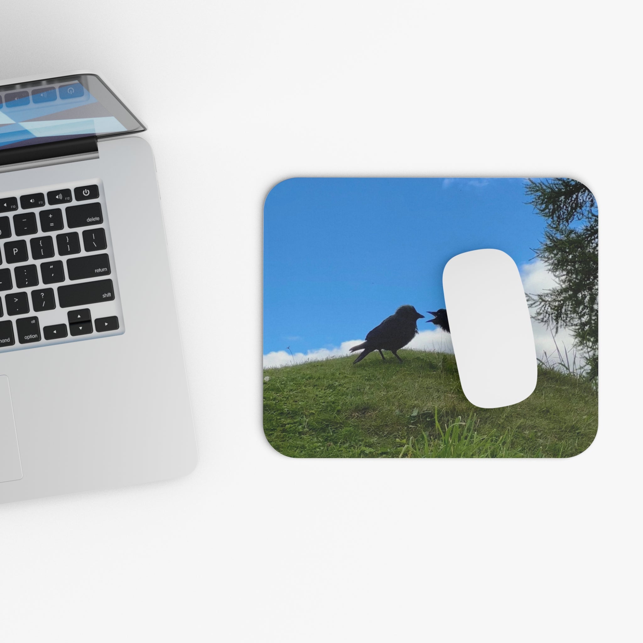 Bickering Birds Mouse Pad