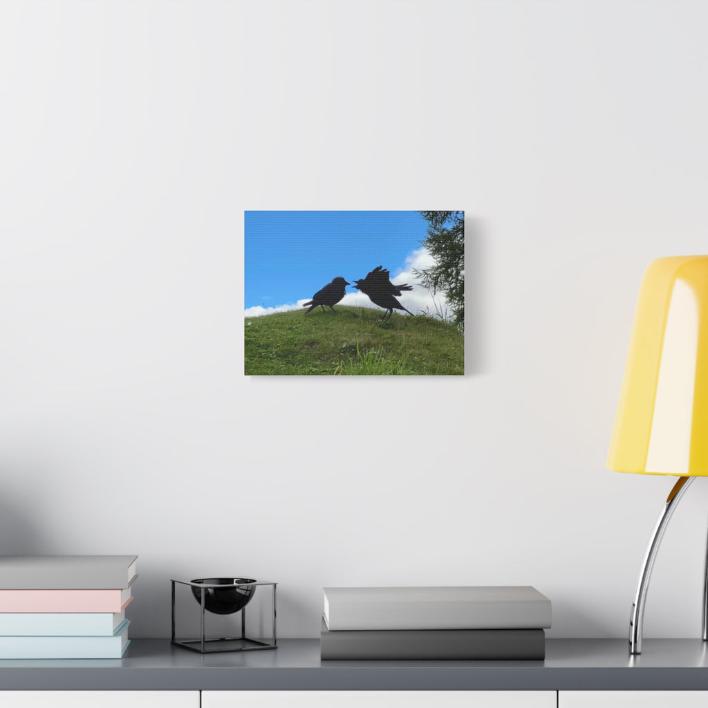 Bickering Birds Original Canvas Wall Art — Stretched 1.25"