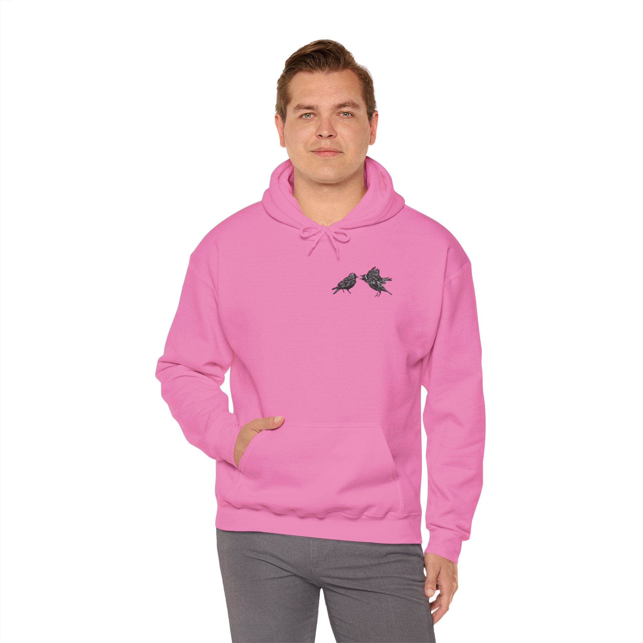Bickering Birds Hoodie