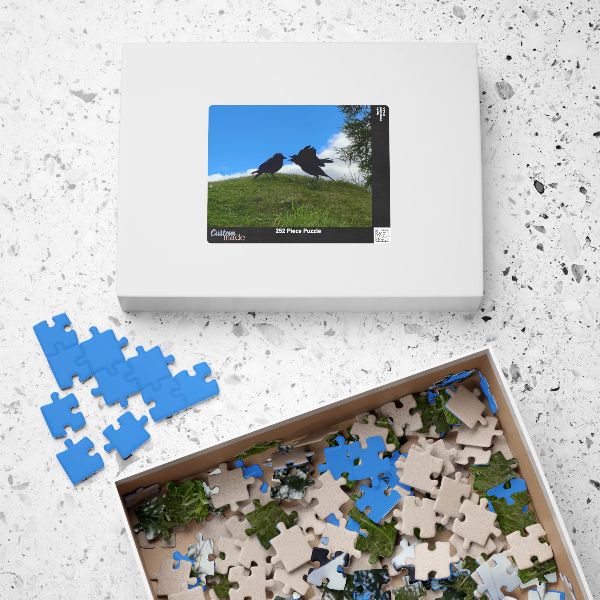 Bickering Birds Puzzle