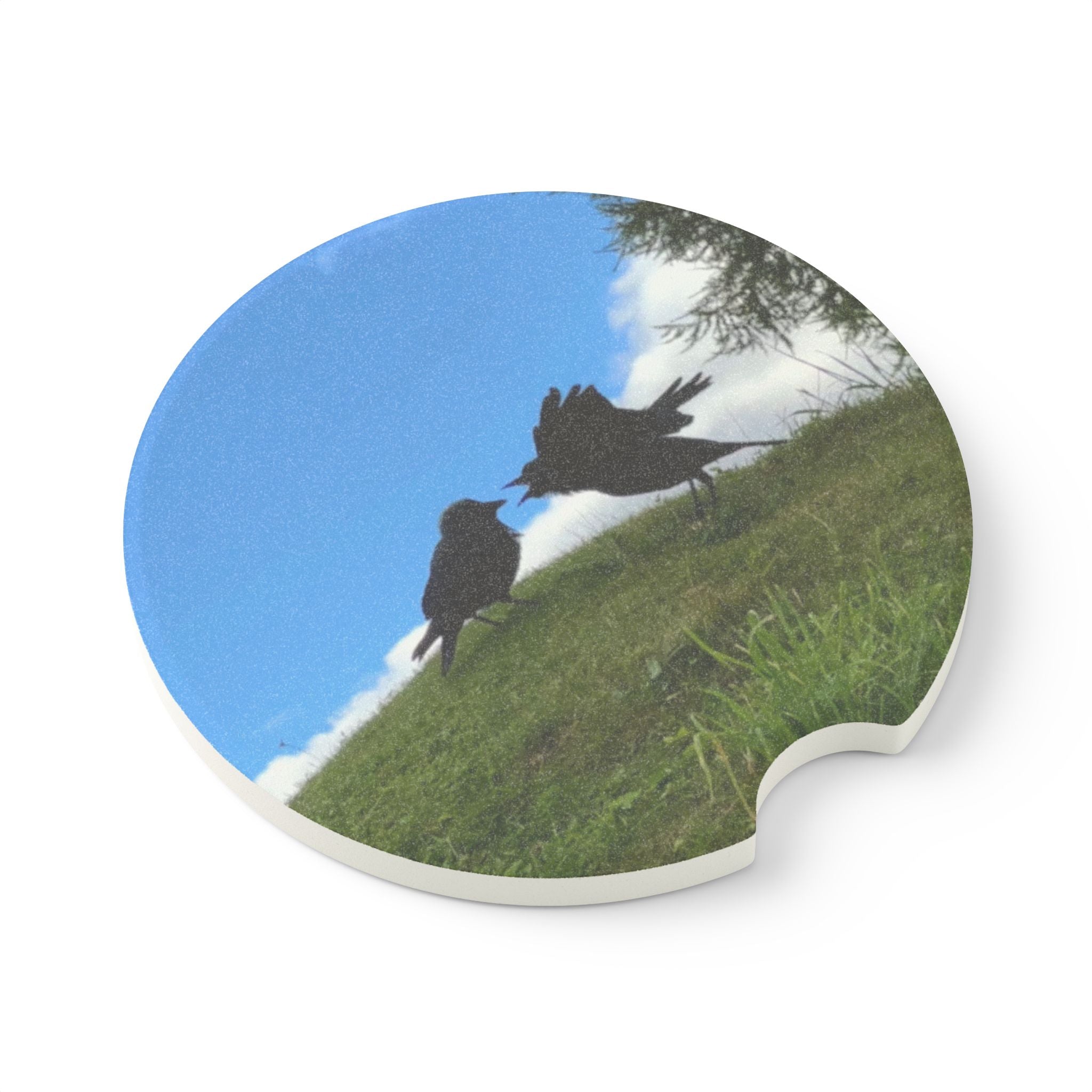 Soapstone Car Coaster — Bickering Birds